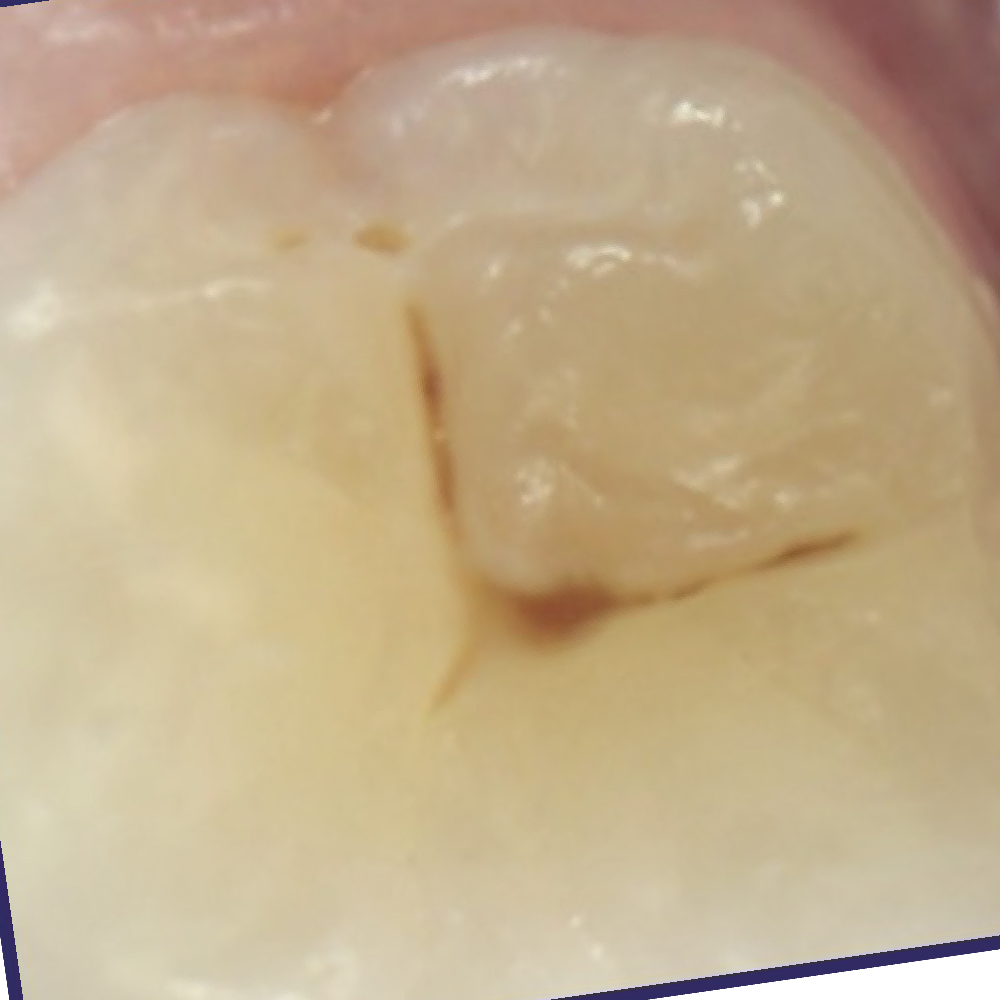 Quiz Image